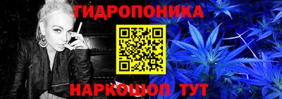 гидра Аргун