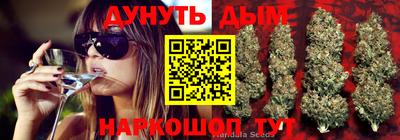 крисы Апрелевка