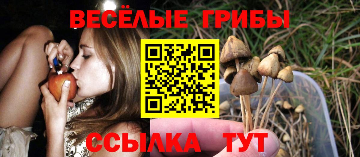 Галлюциногенные грибы Psilocybe  Вход с VPN  Котельники 