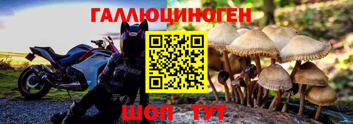 Псилоцибиновые грибы прущие грибы  Галлюциногенные грибы Cubensis  Котельники 